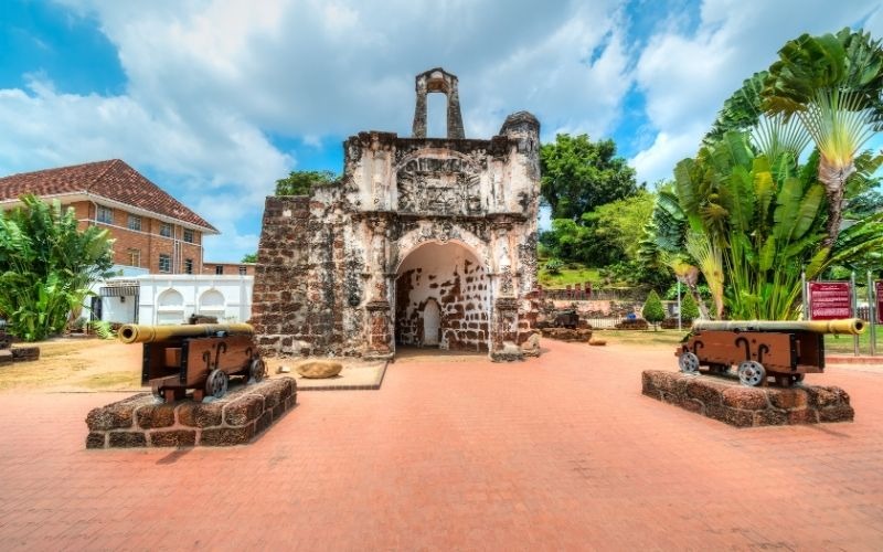 Wildlife and Adventure